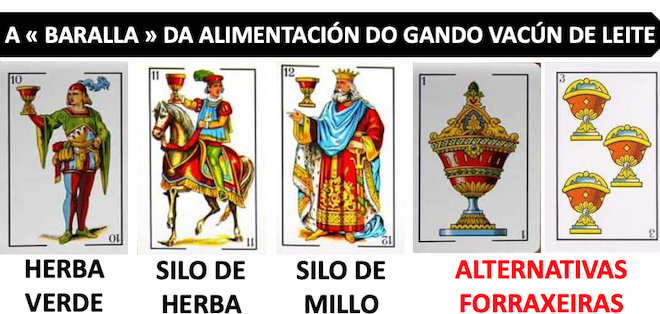 alternativas forraxeiras- baralla