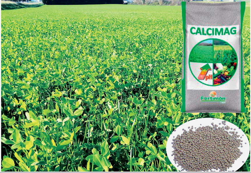 foto Calcimag granulado