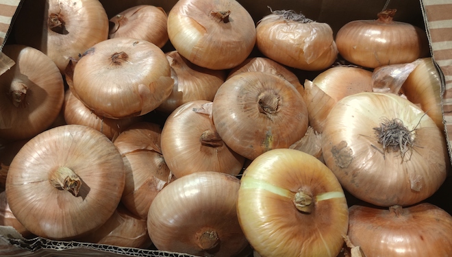 Cebola Vilar_Coop Postoiro 2