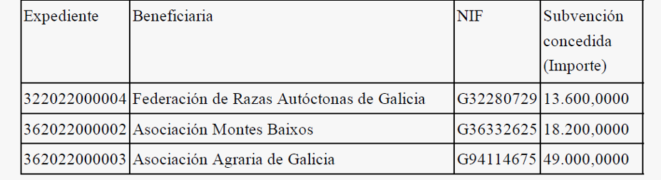 axudas asesoramento 22 3