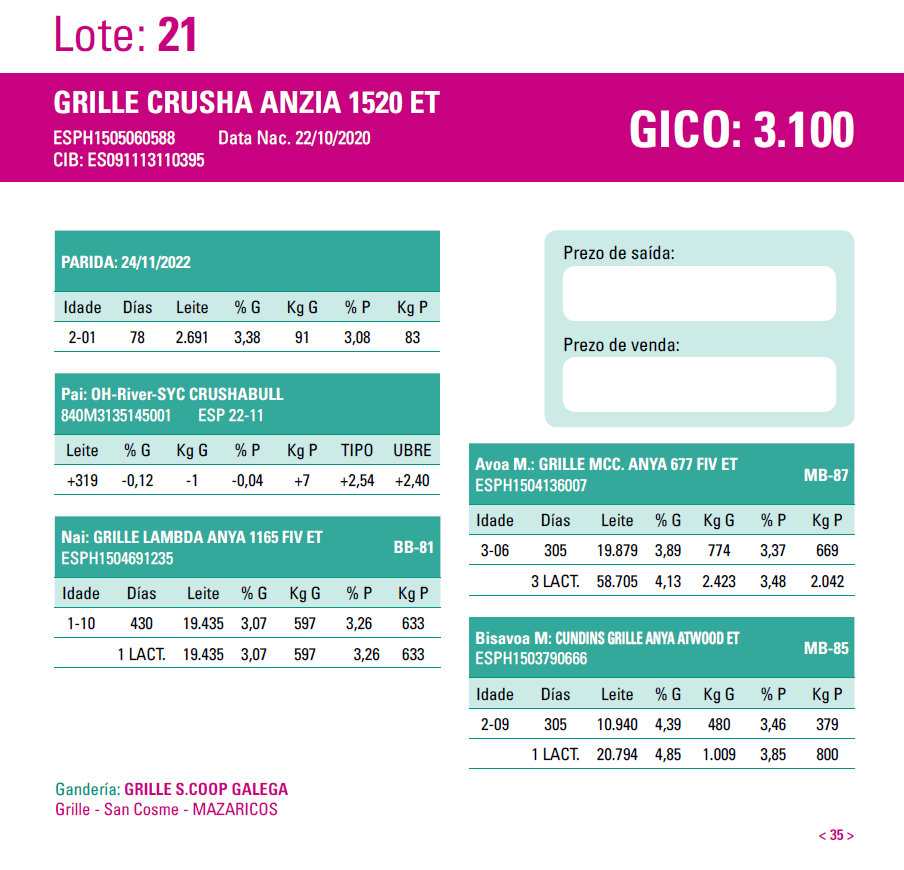 AFRICOR SANTA COMBA 23 22