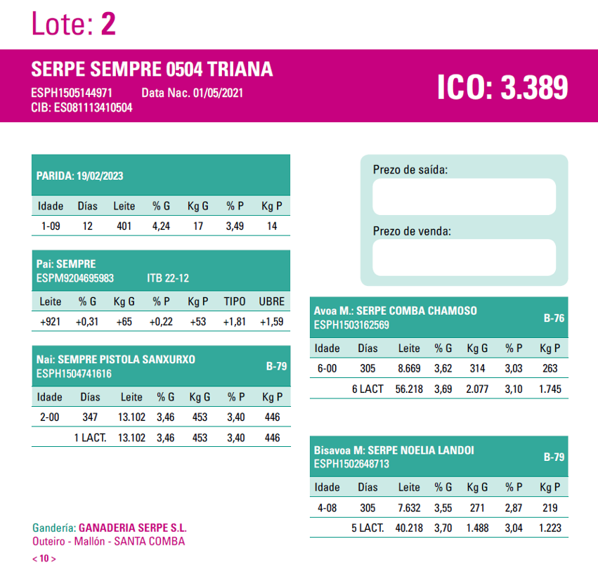 AFRICOR SANTA COMBA 23 3