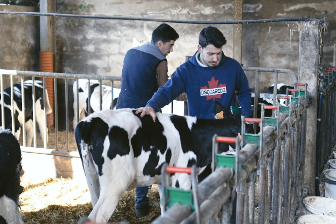GANDERIA ENCANTO NATURAL PORTUGAL GANDEIROS RECRIA TRABALLADORES