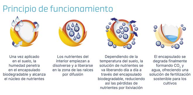 ICL proceso funcionamento