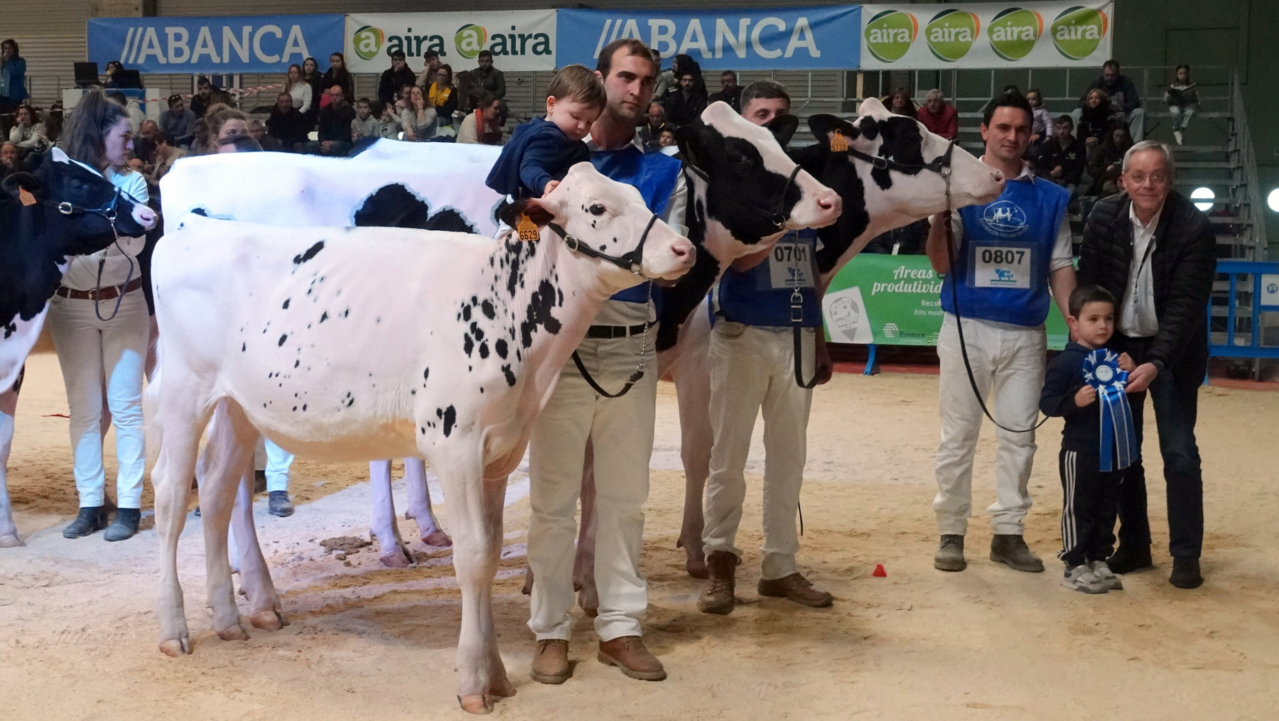 Mejor criador de novillas Open Internacional y de Galicia de Frisón Abanca GandAgro 20223 apaisada