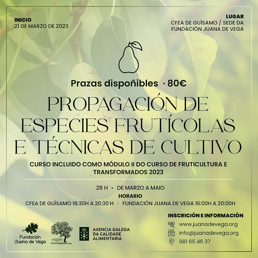 Carteles_Cursos