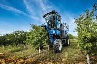 A recolectora Braud 11.90 X Multi desenvolveuse para cultivos intensivos de olivar e almendros.
