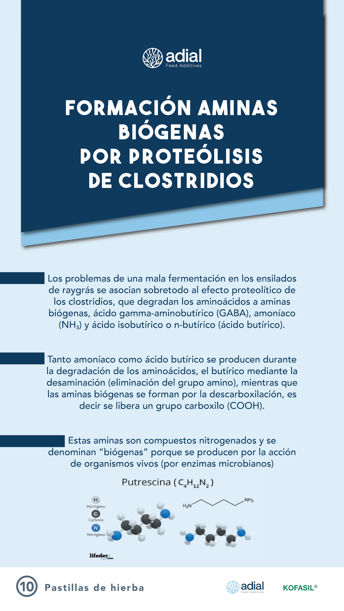 ADIL_PILDORA 10_PILDORAS DE HIERBA-01