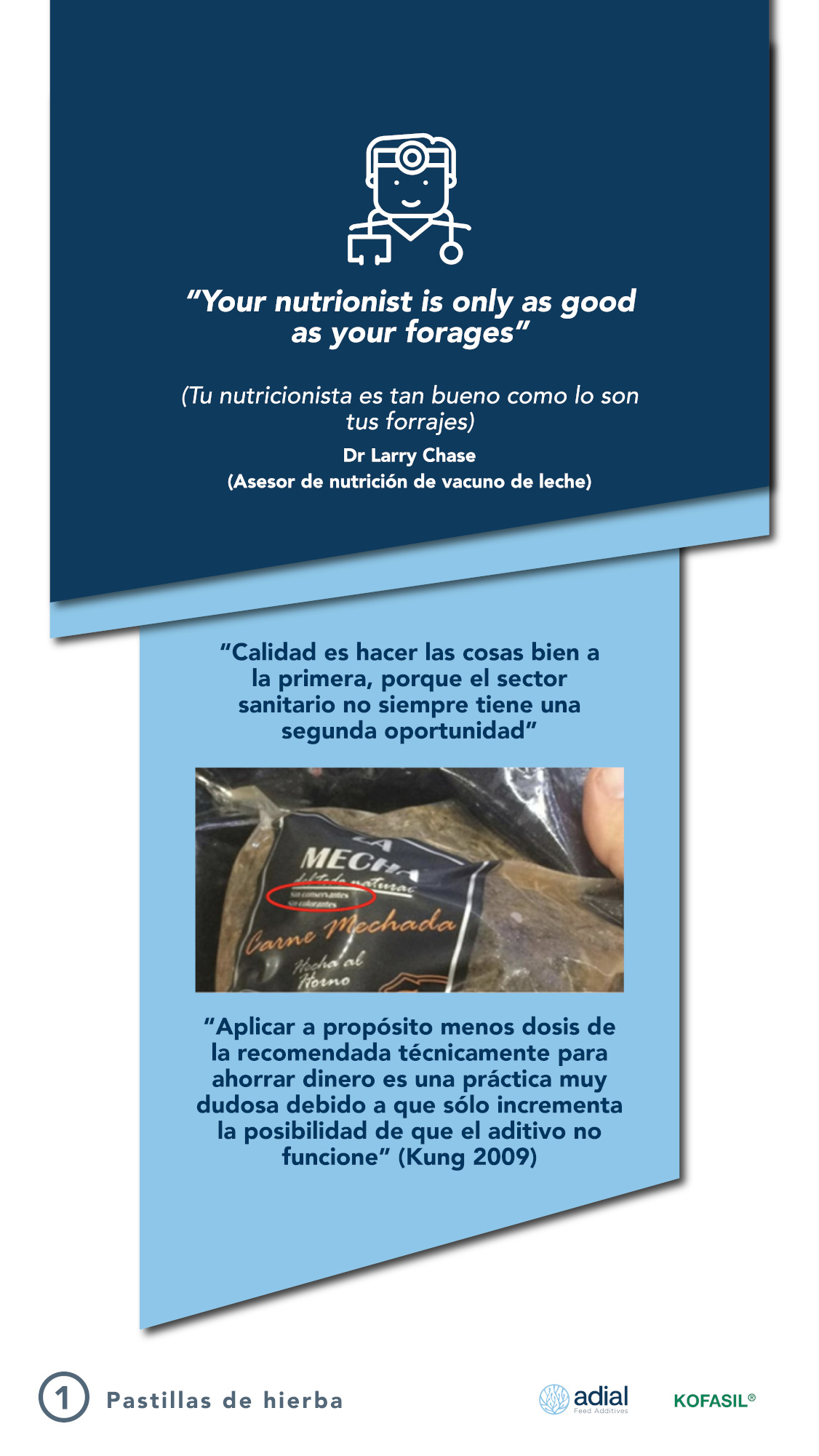 ADIL_PILDORA 1_PILDORAS DE HIERBA-01 (1)