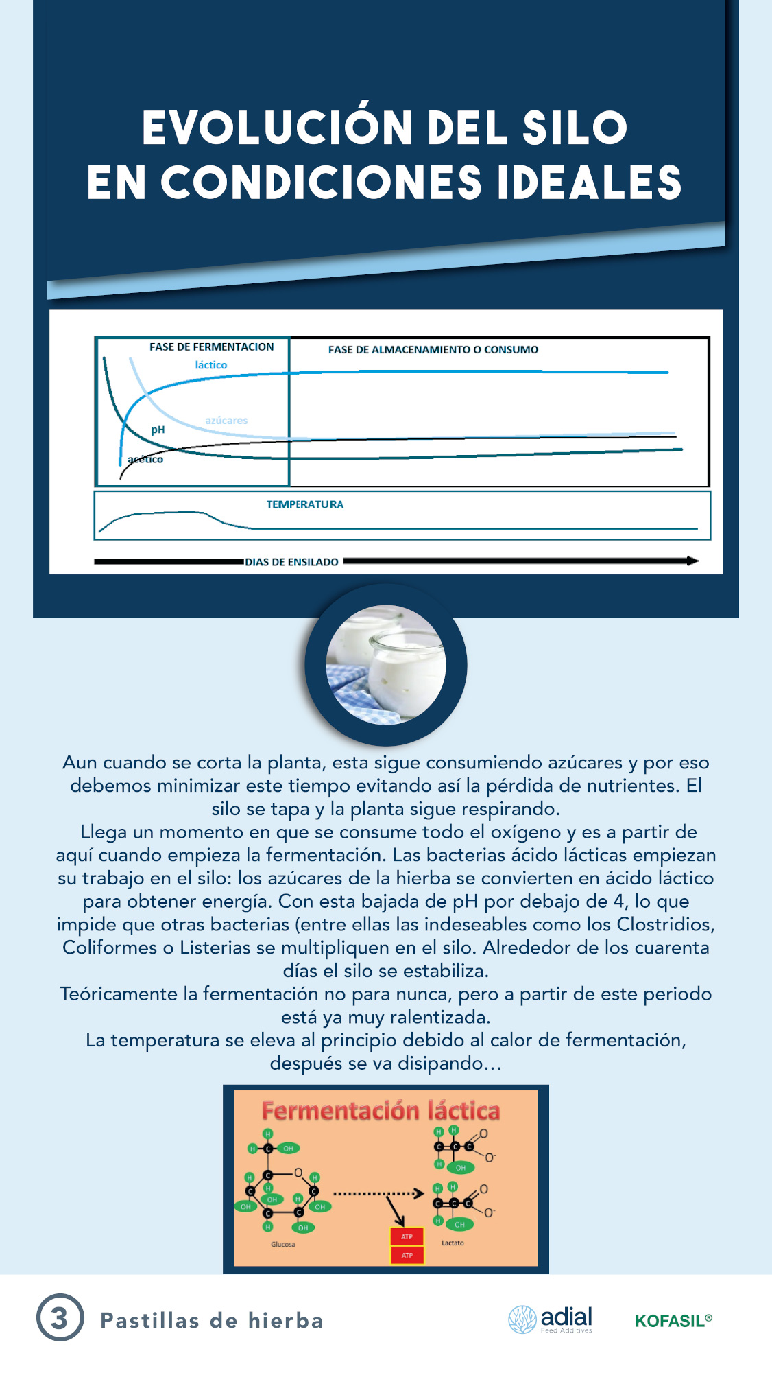 ADIL_PILDORA 3_PILDORAS DE HIERBA-01