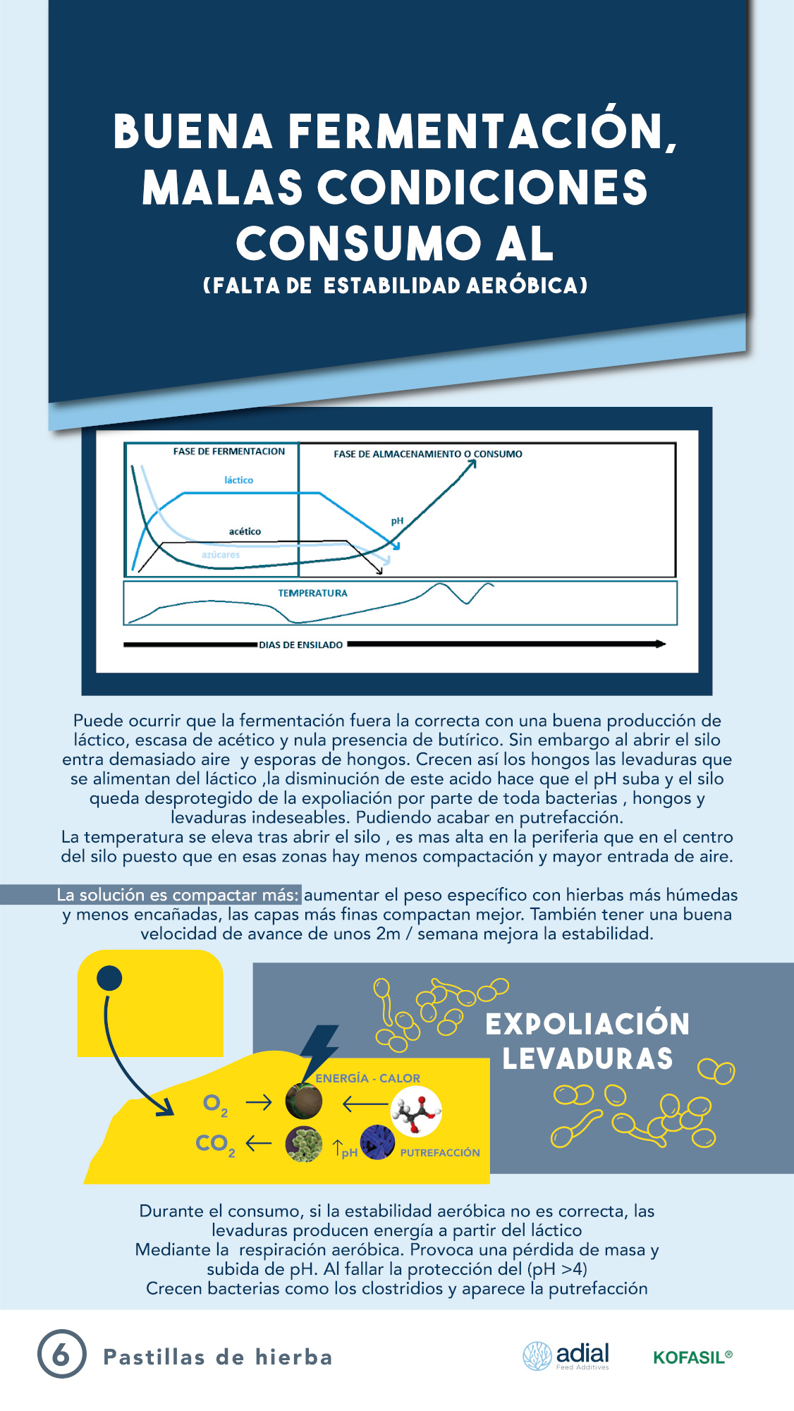 ADIL_PILDORA 6_PILDORAS DE HIERBA-01