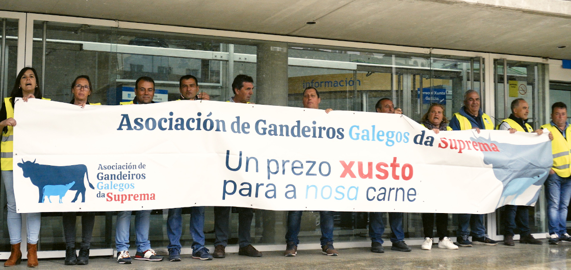 VIDEO PROTESTAS GANDEIROS CARNE APAISADA