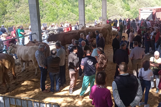 07 MAYO23 Subasta Seoane3