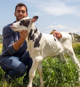 Guillem está incorporado a la explotación y se dedica a la parte de transformación