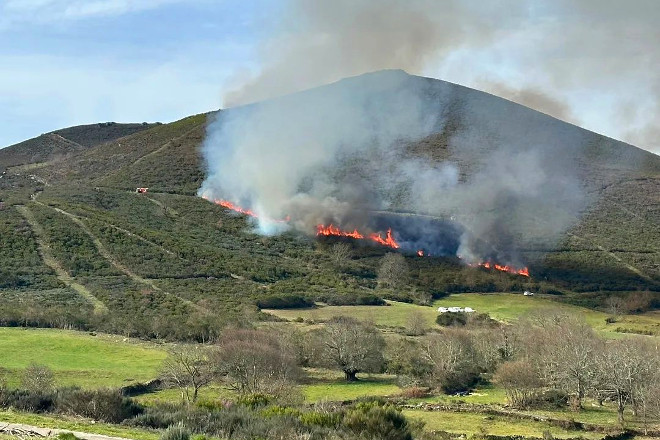 Queima controlada realizada este inverno para recuperar unha zona de matogueira para pasto para as ovellas