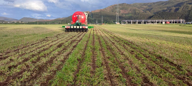 Labores de sementeira directa de millo sobre pradeira nunha parcela a carón do establo de Gandería Casa Barbeiro en Lagoa (Alfoz)