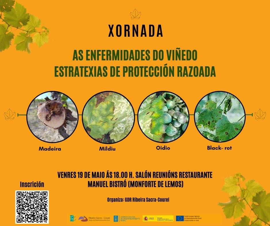 xornada proteccion viñedo MONFORTE