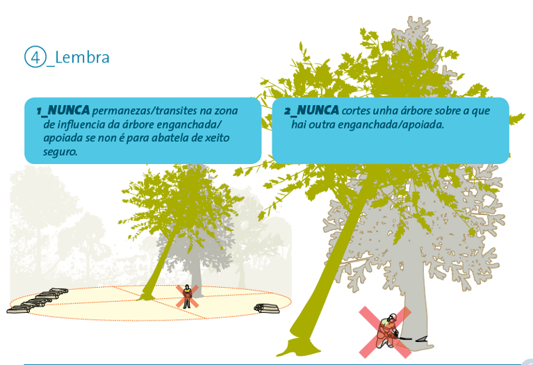 ISSGA ARBORES ENGANCHADAS 1