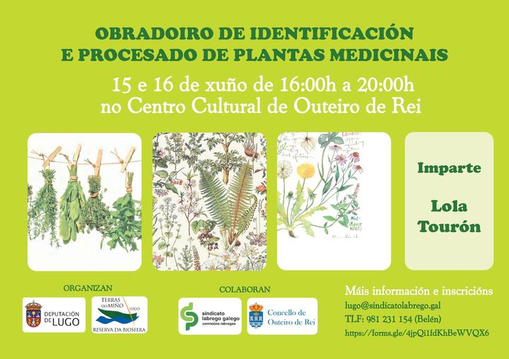 OBRADOIRO PLANTAS MEDICINAIS SLG OUTEIRO DE REI