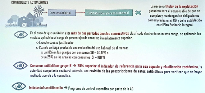 Real Decreto antibioticos1