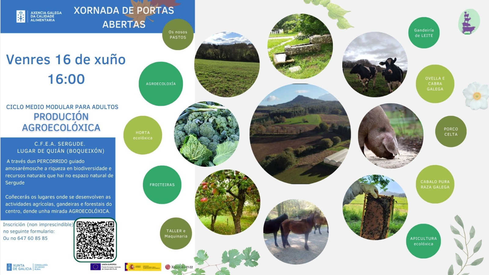 cartel Xornada portas abertas Sergude