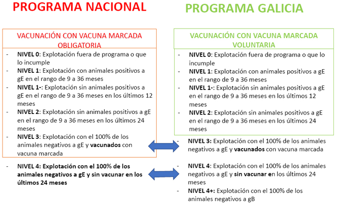 diferenzas clasificacion explotacions programa nacional e programa galego IBR