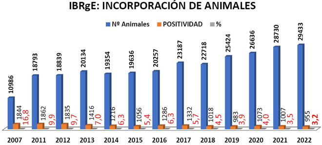 incorporacion de animais con IBR