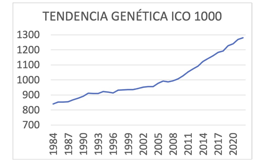 Tendencia genetica ICO 1000