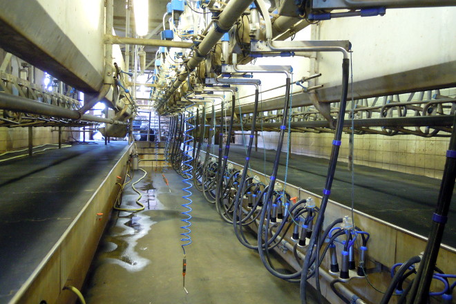 FENIL PRESTINI (Brescia, Lombardia) sala muxido