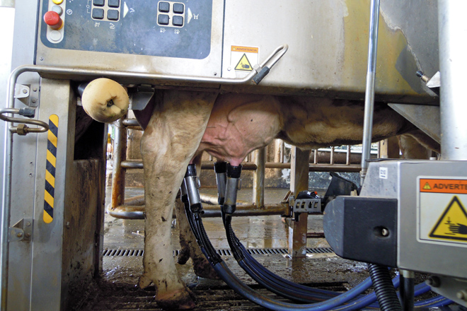 GALLARDO SC (Guntin) robot Delaval2