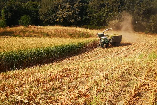 Parque de maquinaria da cooperativa Aira recollendo fincas de millo a semana pasada en Taboada