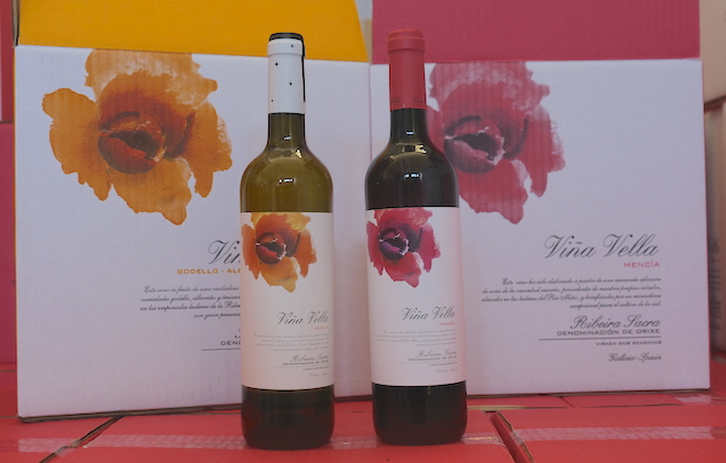 Viña Vella_Viños SAT Virxe dos Remedios_Ribeira Sacra