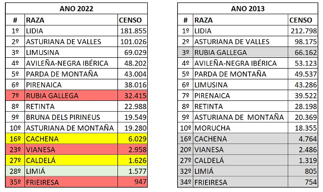 Na clasificación exclúense as razas Frisona, Parda e Fleckvieh por ser de aptitude leiteira, contabilizando un total de 45 razas cárnicas, tanto autóctonas coma integradas