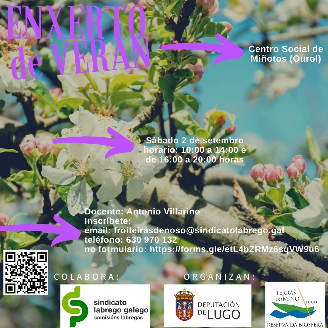 curso enxertos veran