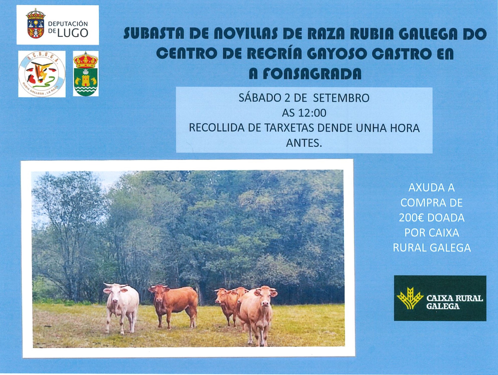 poxa acruga a fonsagrada 1