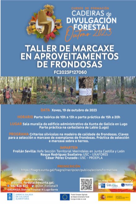 Cartel_Taller_Marcaxe_Frondosas_23
