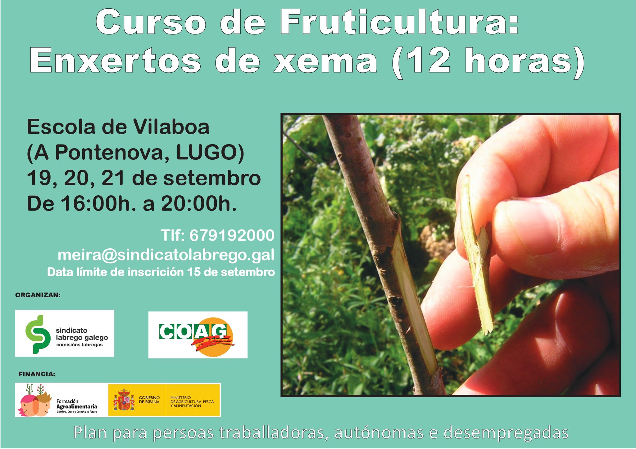ENXERTOS XEMA CURSO SLG