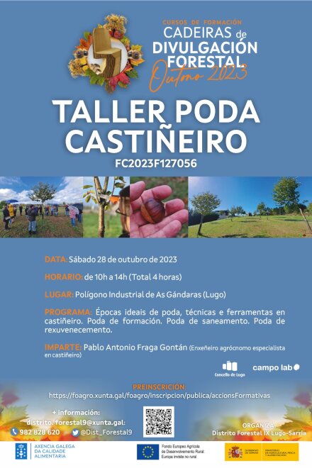 PODA DE CASTIÑEIRO