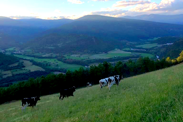 CATALUÑA SAT Granja Castellar Pirineo2