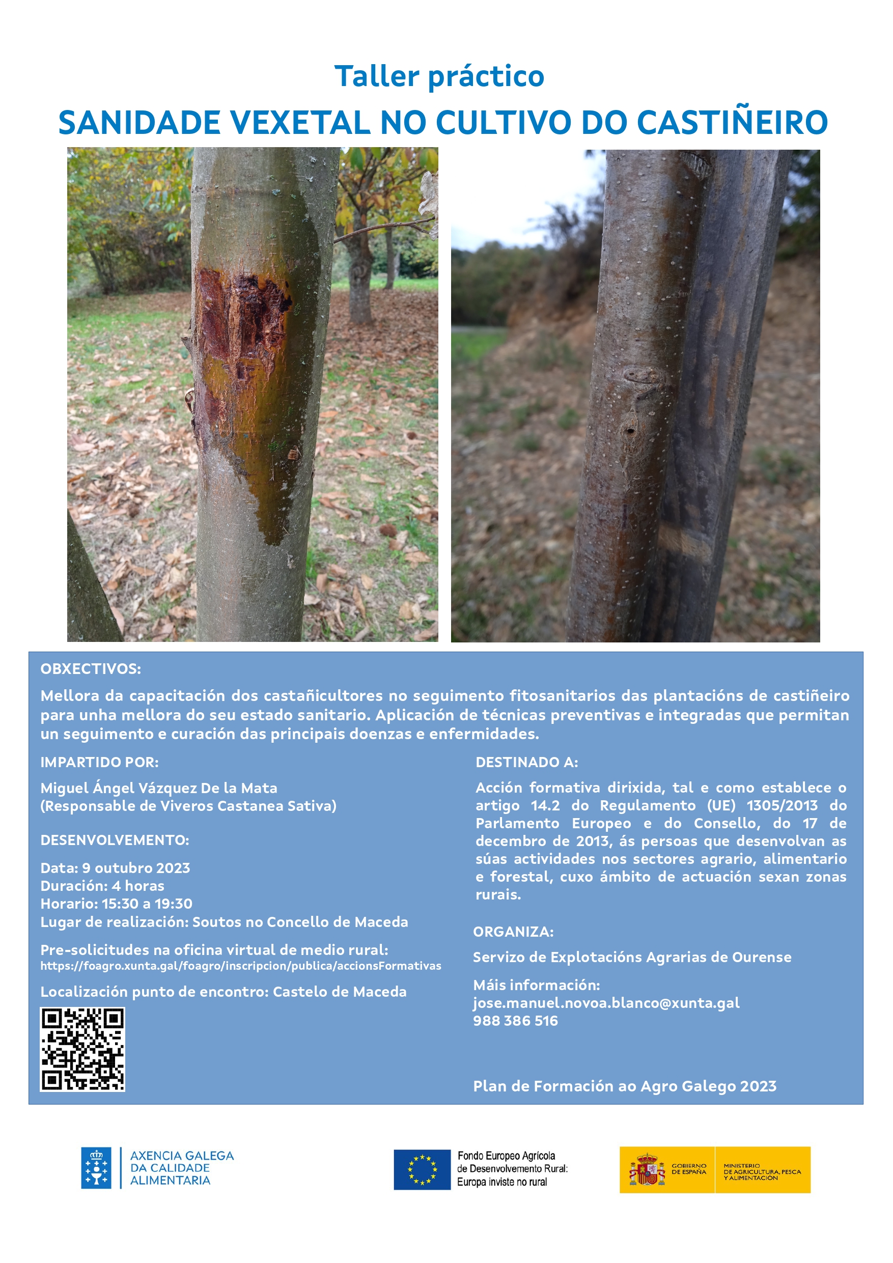 Cartel Taller práctico Sanidade vexetal no cultivo do castiñeiro