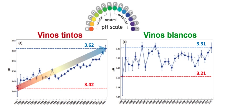 Evolución do grao medio no viño desde 1990.