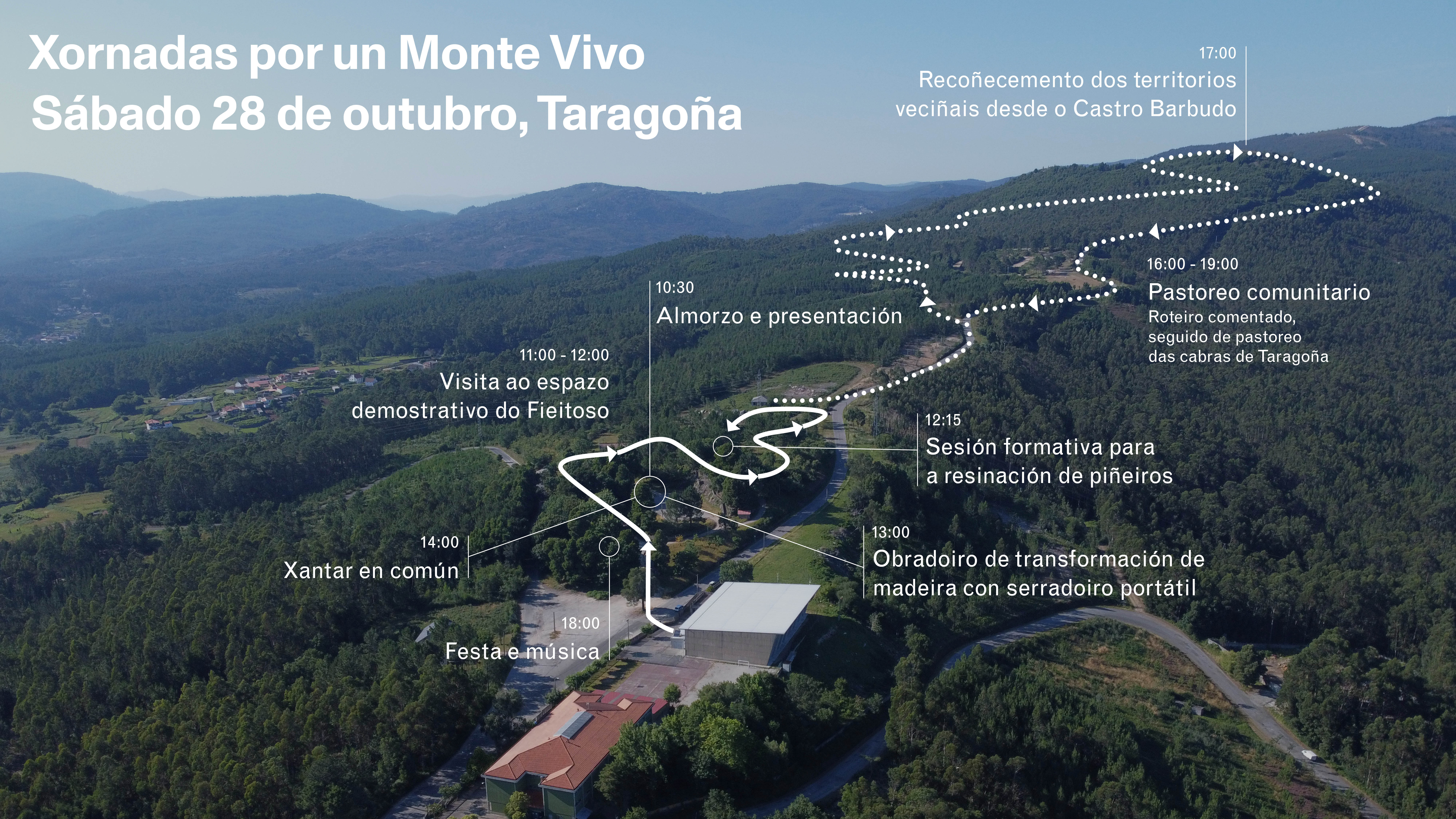 Ilustracion-Xornadas por un monte vivo_Taragoña