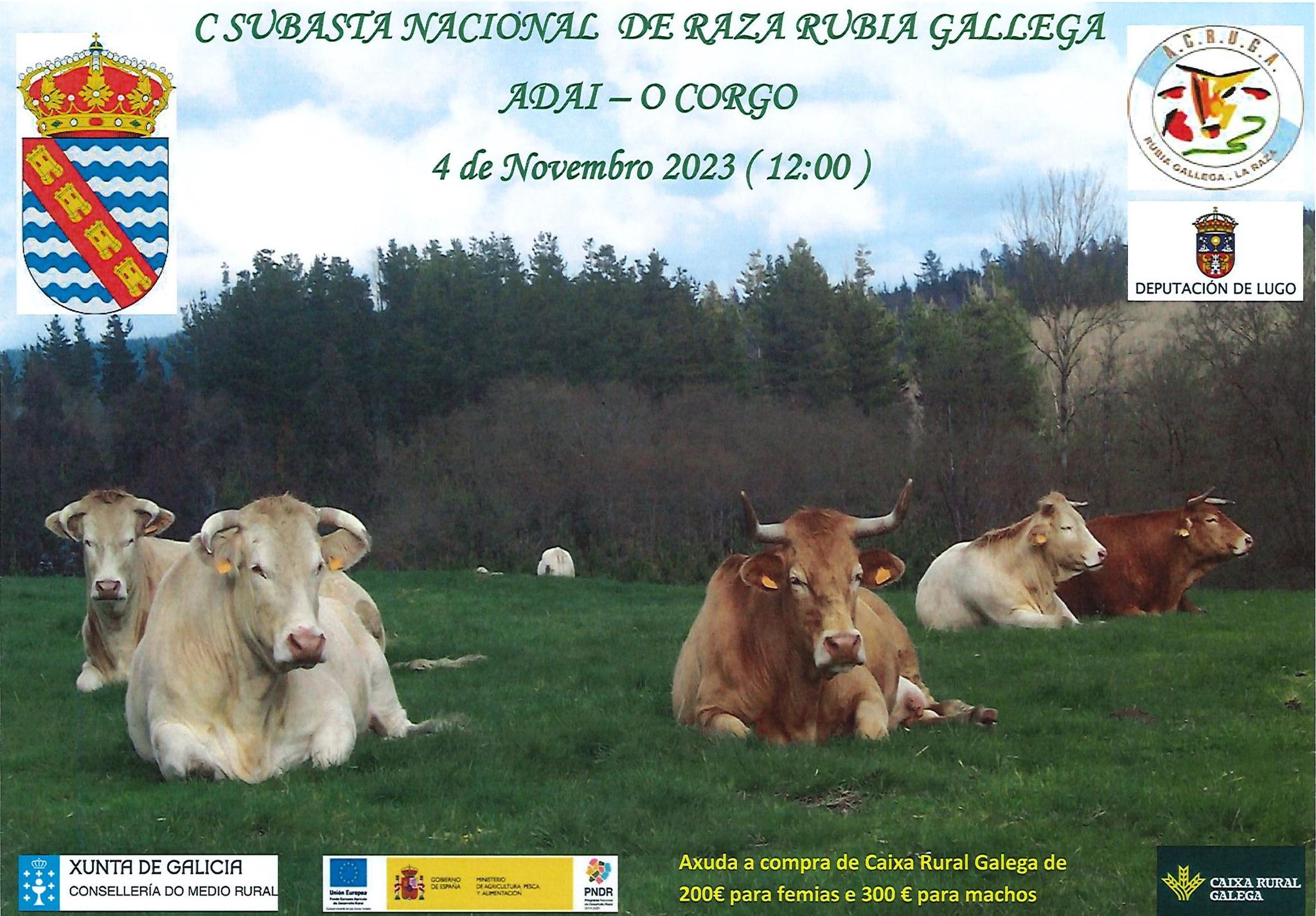 POXA ACRUGA CORGO 23