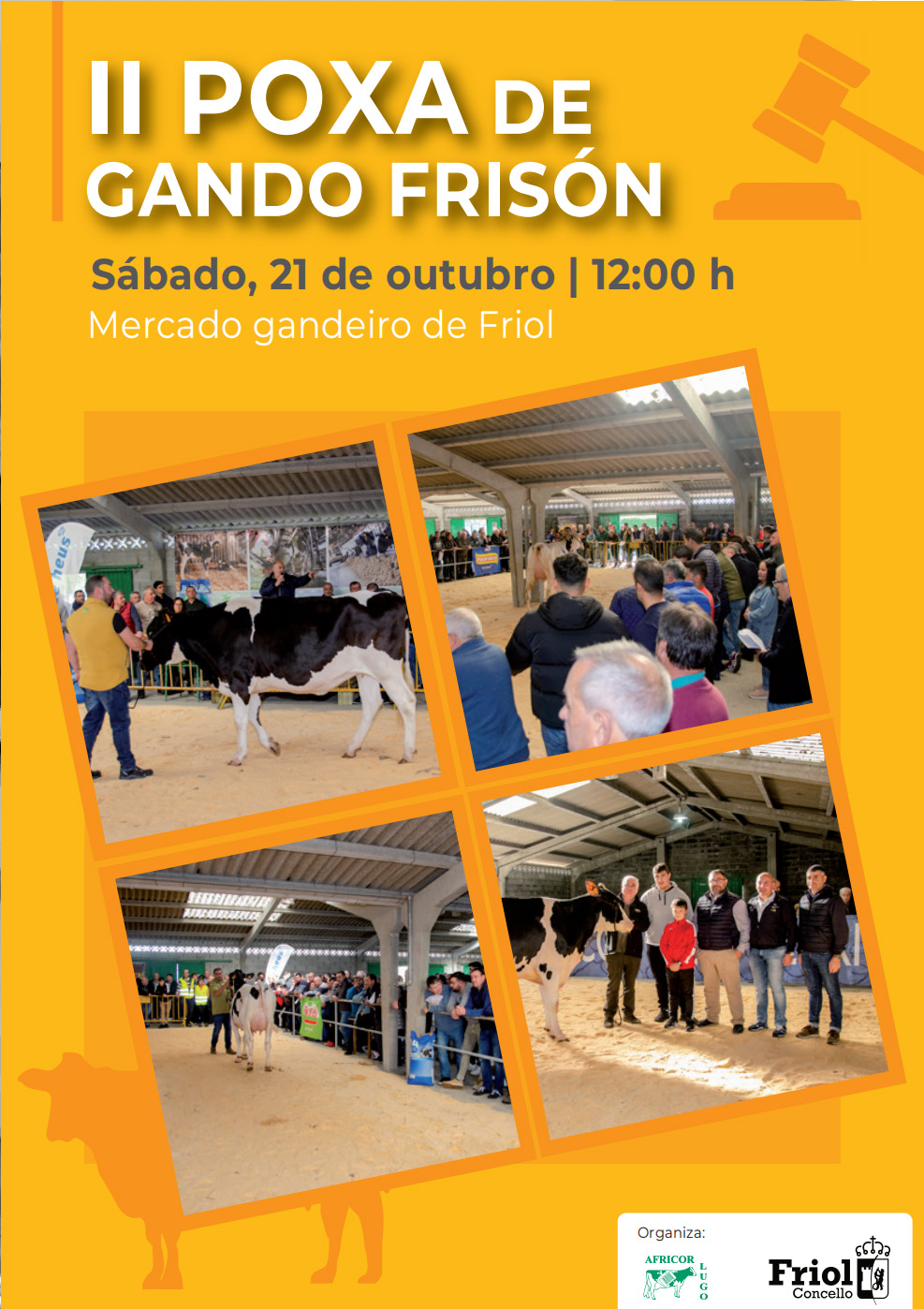 cartel_poxa_Friol2023