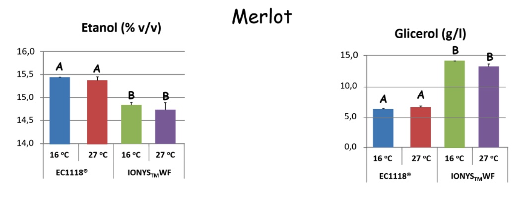 Redución de grao alcohólico en Merlot.