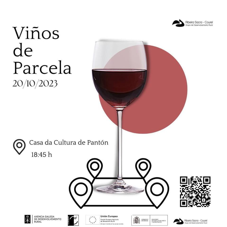 xornada viños parcela ribeira sacra 23 panton 1