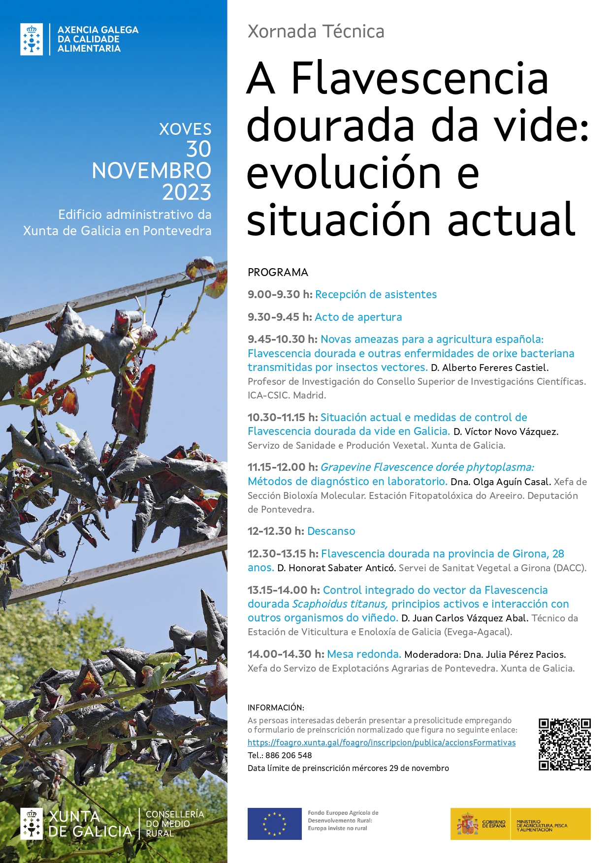 Flavescencia dourada, cartel.
