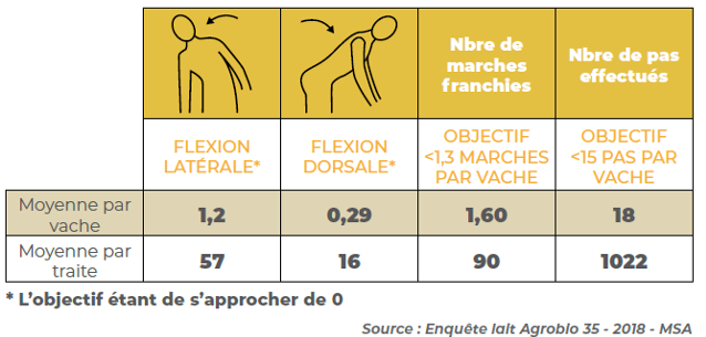 MUXIDO MOVEMENTOS ESTUDO FRANCIA