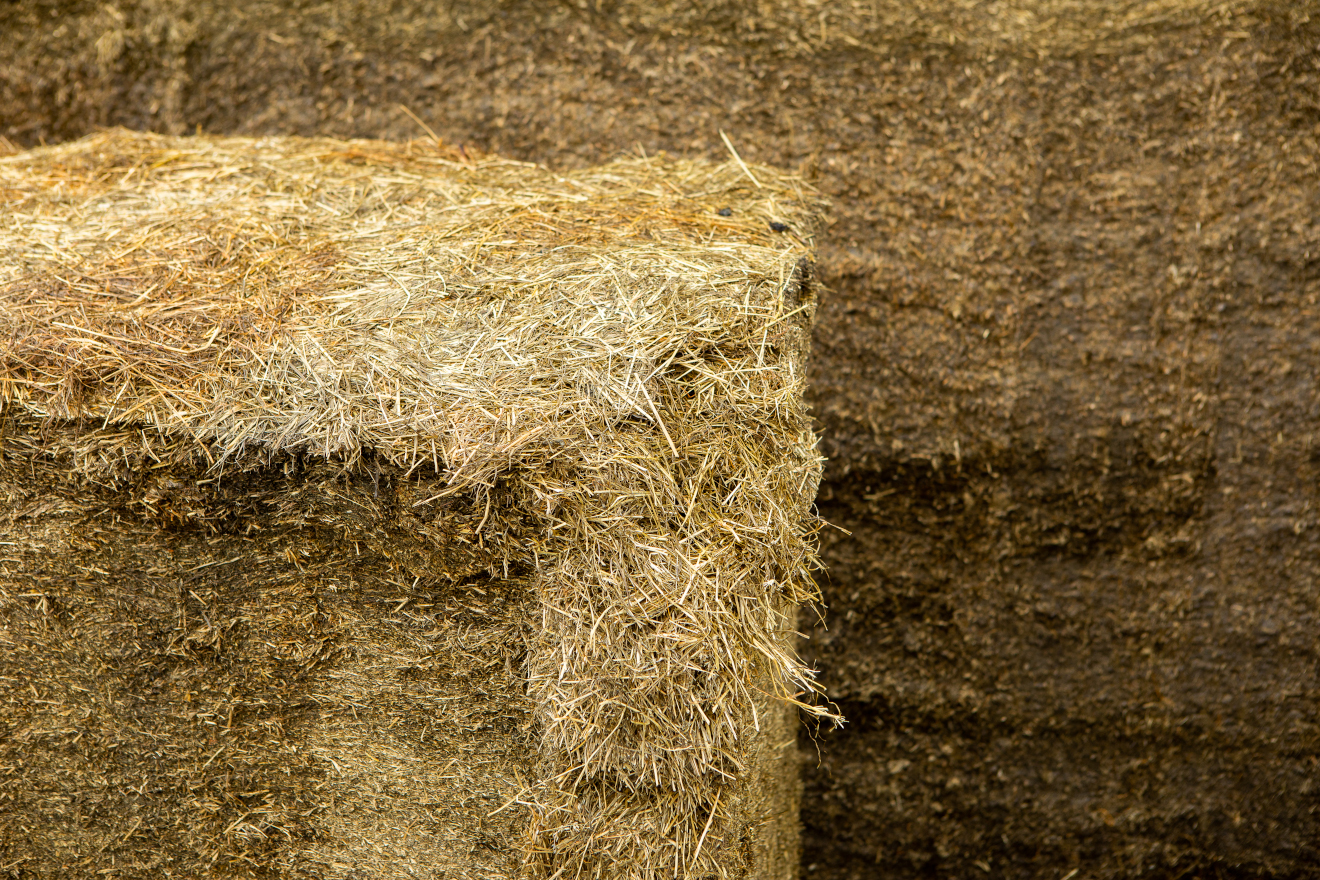 Ruminants_Dairy_Venhuizen_Vooruit-NL (1)