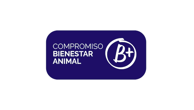 FINALES B+